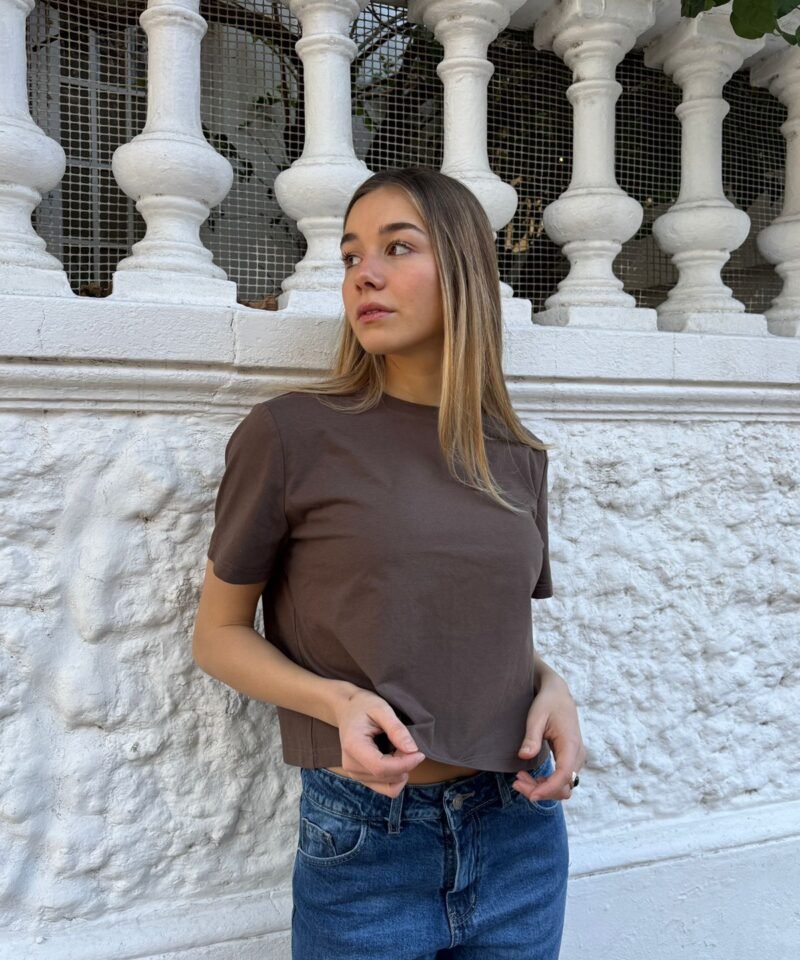 REMERA ALGODON PREMIUM - TD11